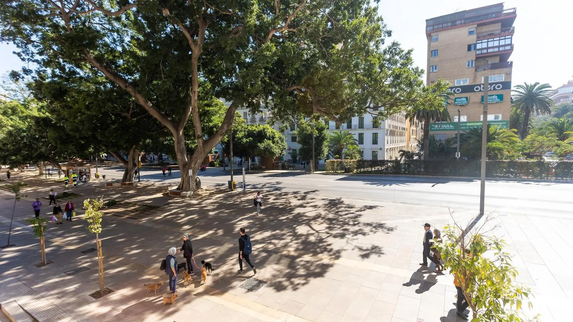 La Casa De La Alameda Apartamento Málaga
